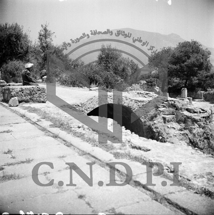 Ruines romaines de Tipaza